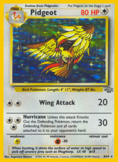 Pidgeot 8/64