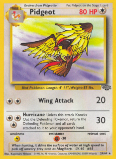 Pidgeot 24/64